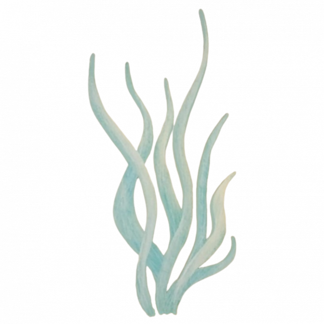 Totem Alga PS azul | 30x67
