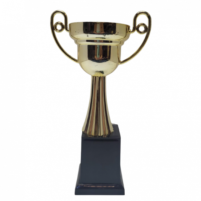 Troféu taça dourado | 23cm