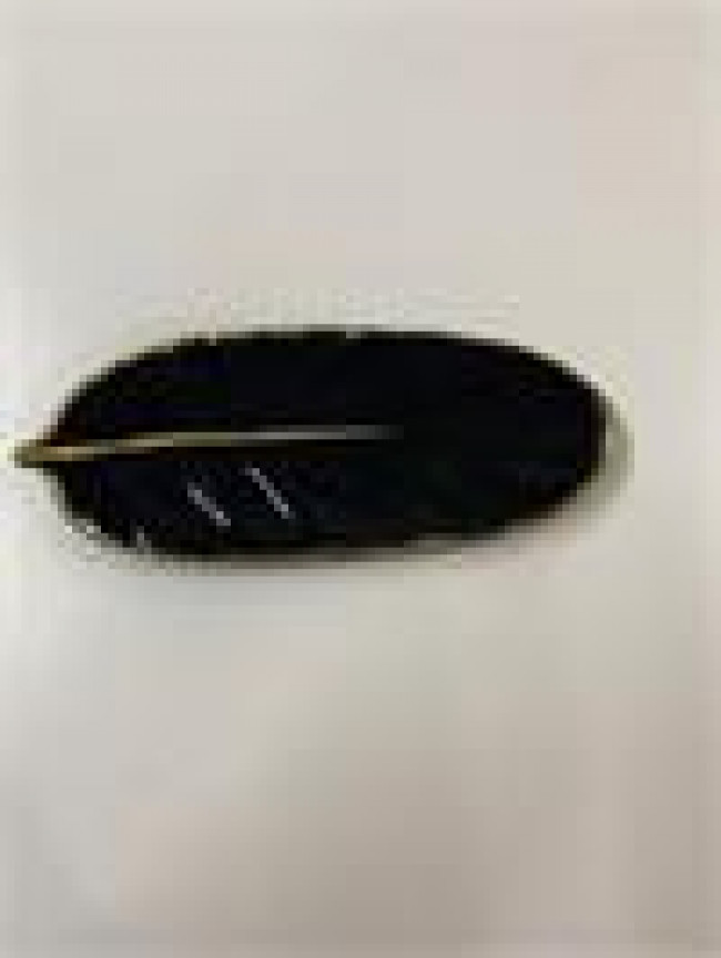 BJ CER FOLHA PRETO/ DOURADO C19L8  P