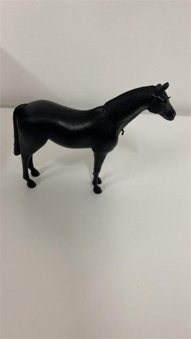 ED RESINA CAVALO 8X10