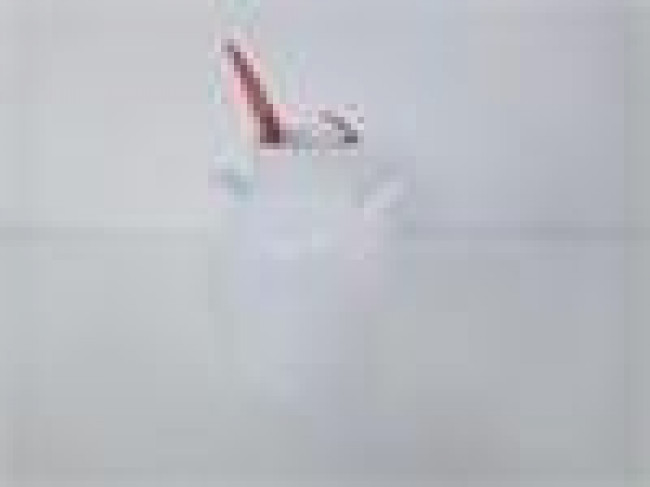 VS CER LEITEIRA BRANCO D7A15