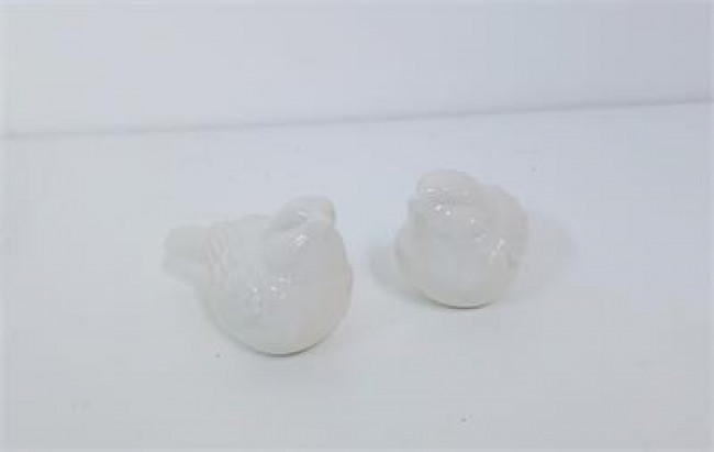 ED CER PASSARINHO BRANCO A4C7