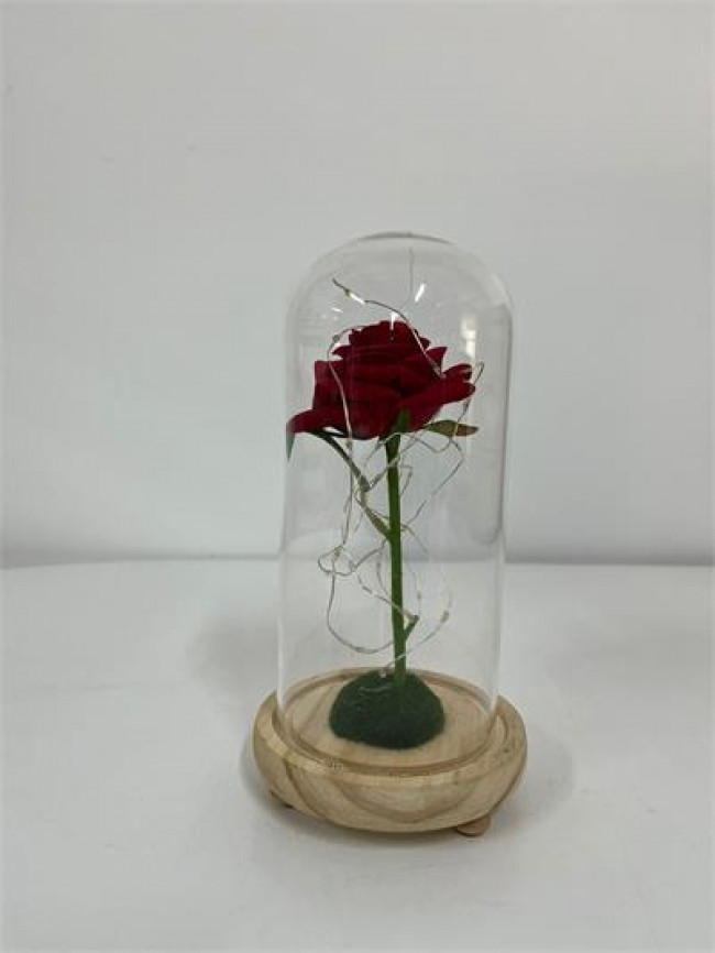 ED VIDRO REDOMA ROSA VERMELHA  A23D11 M