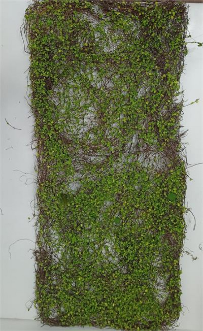 ED TELA DE MUSGO FAKE  VERDE MUSGO C89L40 G