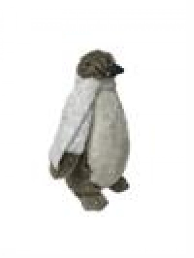 BP  PELÚCIA PINGUIM POLAR  A36D26 G