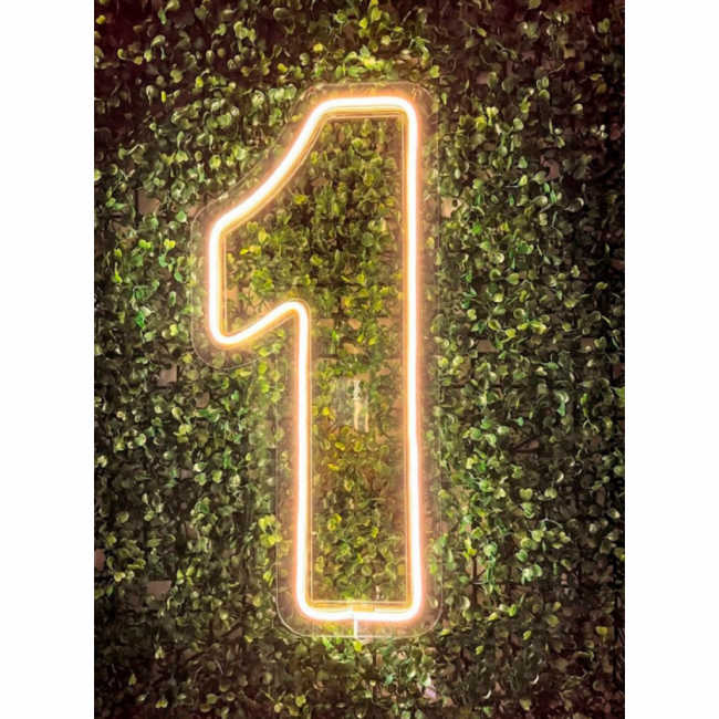 Led n° 1