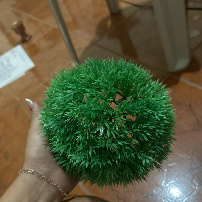matinho