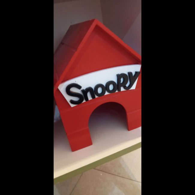 CASA-SNOOPY