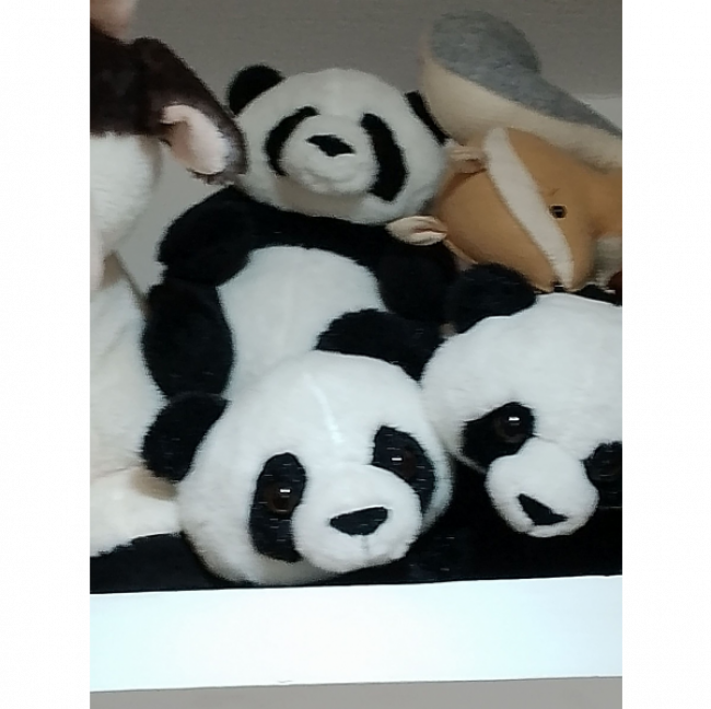 PANDA