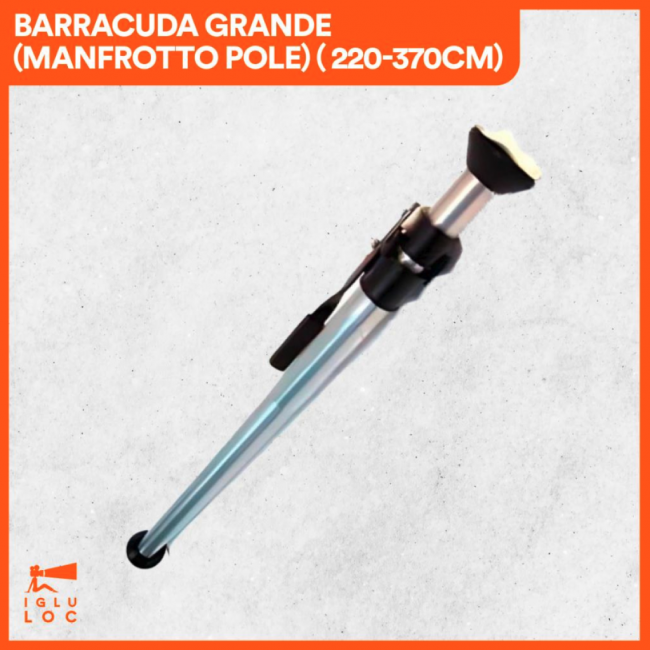 Barracuda