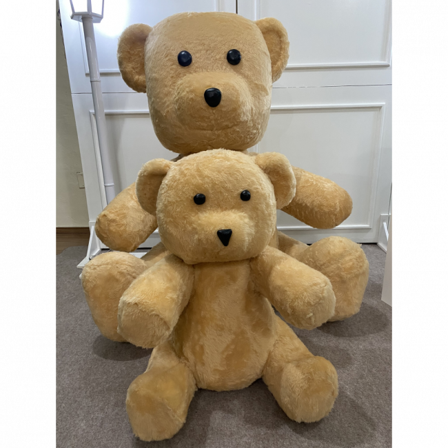 Urso Médio