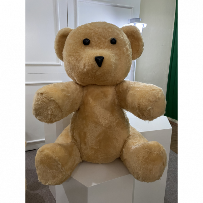 Urso Médio