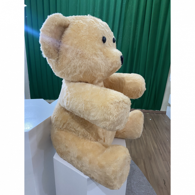 Urso Médio