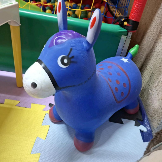 Burrinho