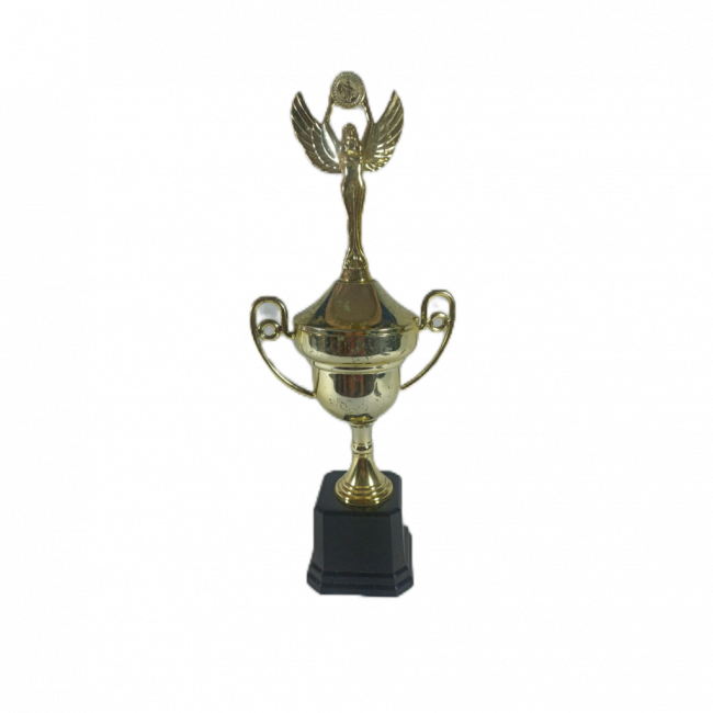 Troféu 35cm