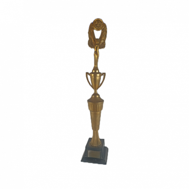 Troféu 50cm