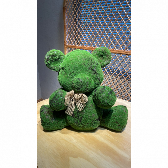 Urso musgo verde - M