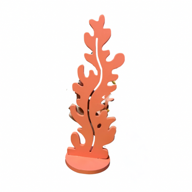 ALGA ROSA SALMÃO