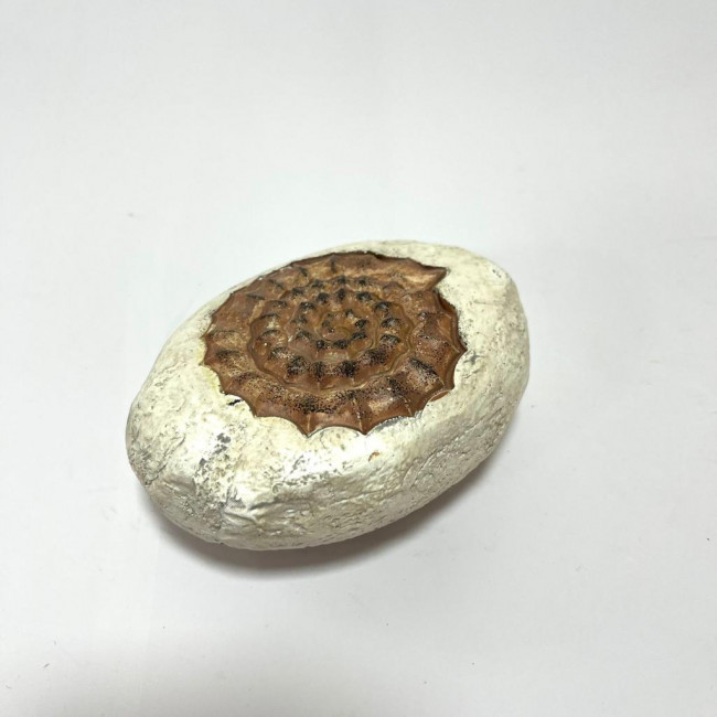 Pedra coral