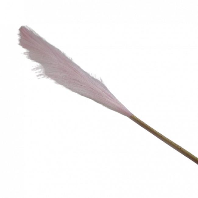 PLUMA ROSA
