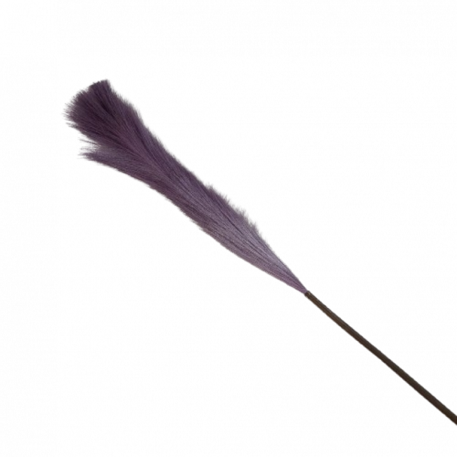 PLUMA ROSA