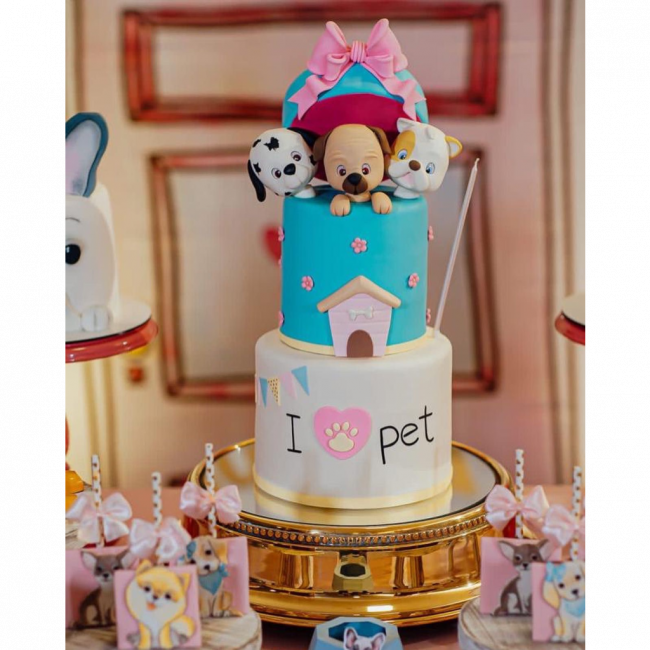 PET 1