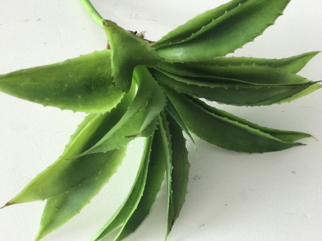 HASTE MATO VERDE (CACTO)