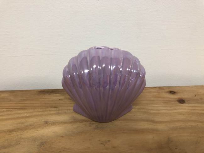 CONCHA LILAS DE PORCELANA