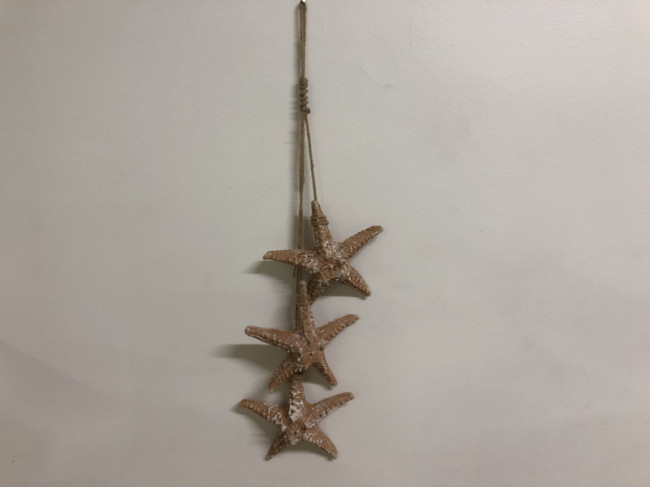 PENCA DE ESTRELA LARANJA