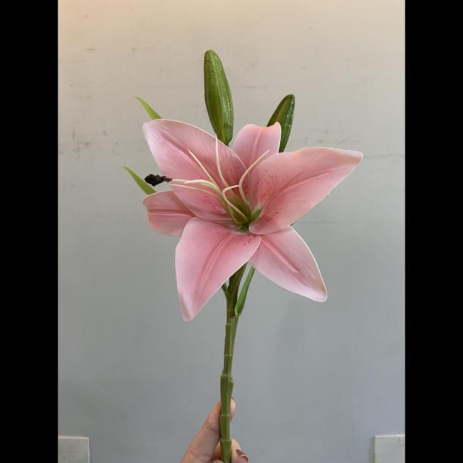 Lírio rosa