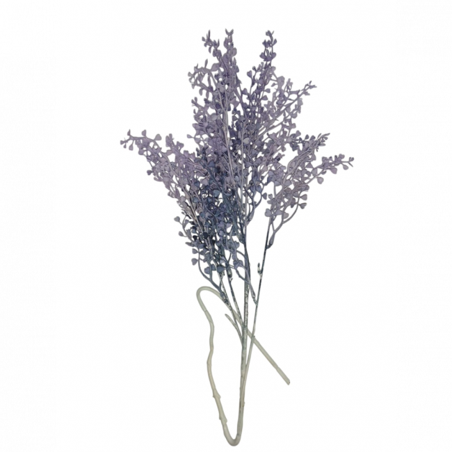 ASTE LAVANDA