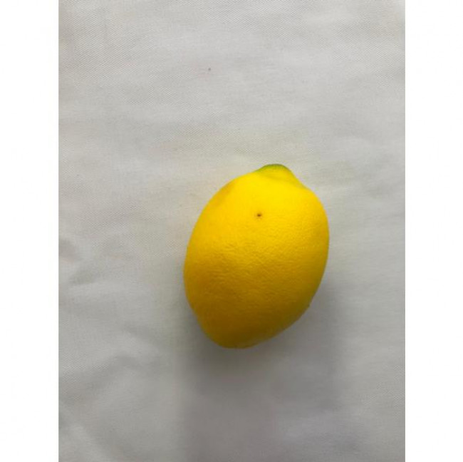 KIT COM 6  LIMÕES (FRUTA)