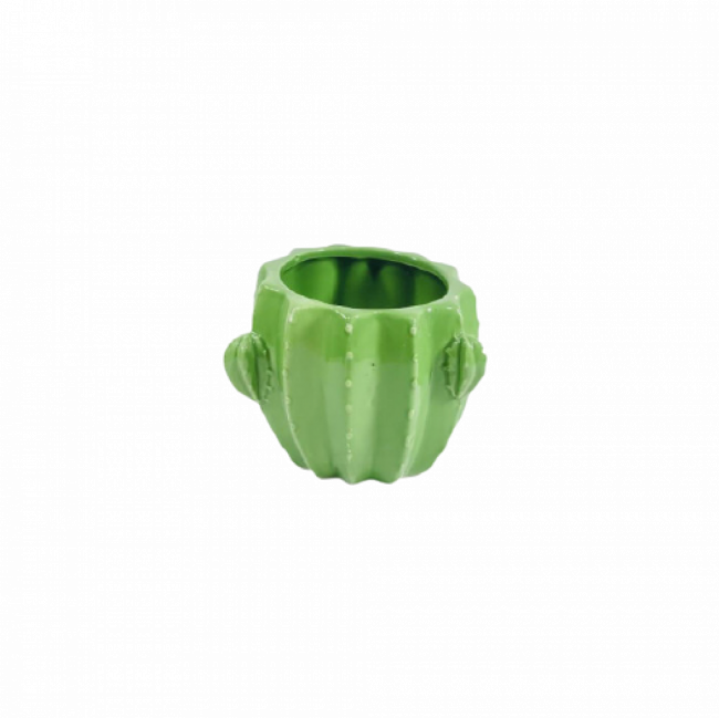 BOWL CACTO