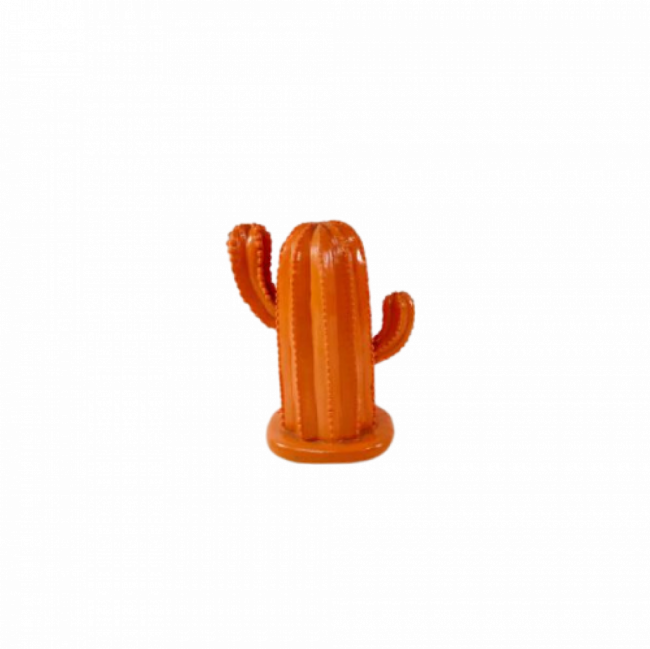 CACTO LARANJA