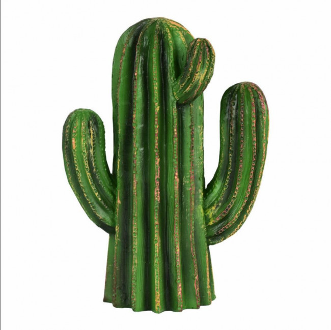 CACTO