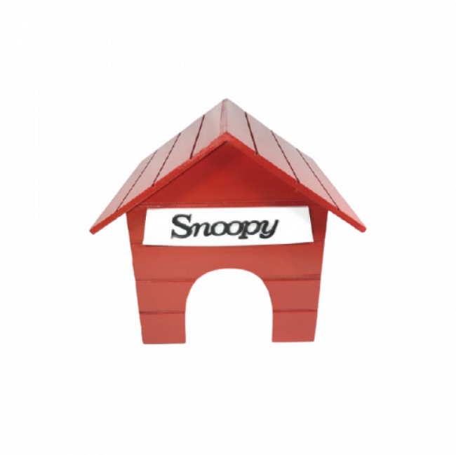 CASA SNOOPY