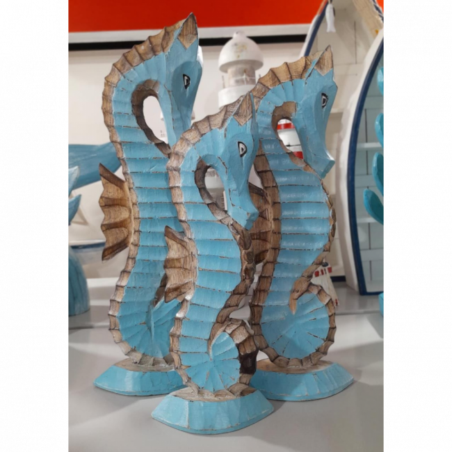CAVALO MARINHO G