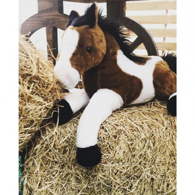 CAVALO