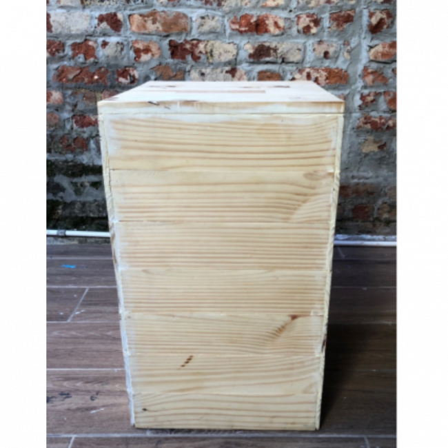 Cubo pinus G