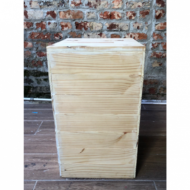 Cubo pinus M