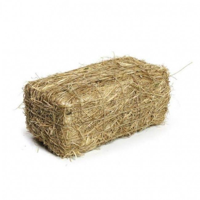 FENO DE MESA M