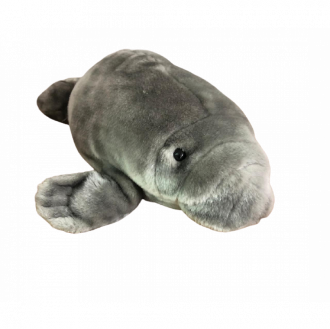 FOCA