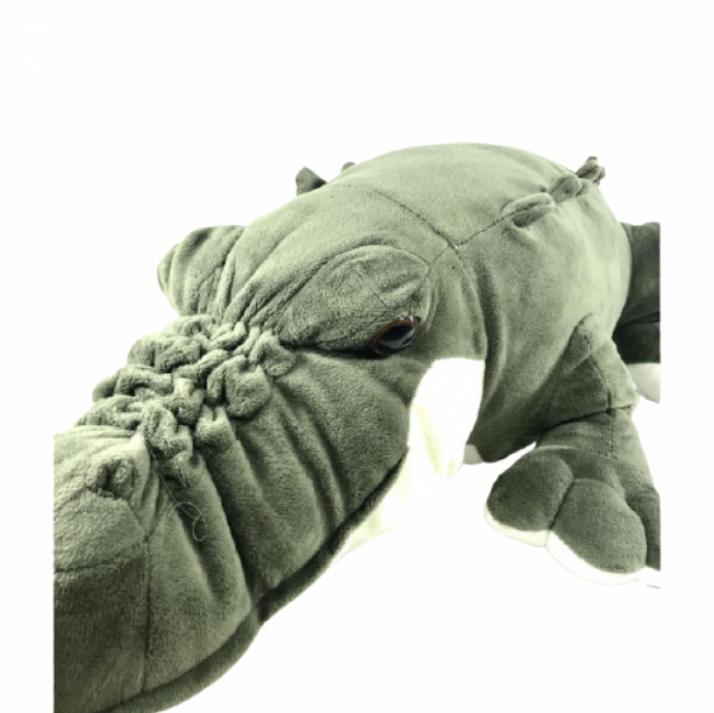 JACARÉ G