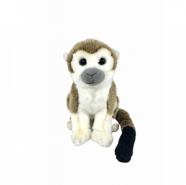 MACAQUINHO