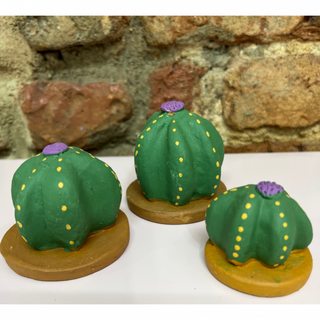 TRIO DE CACTOS PP