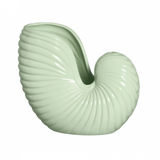 VASO CONCHA