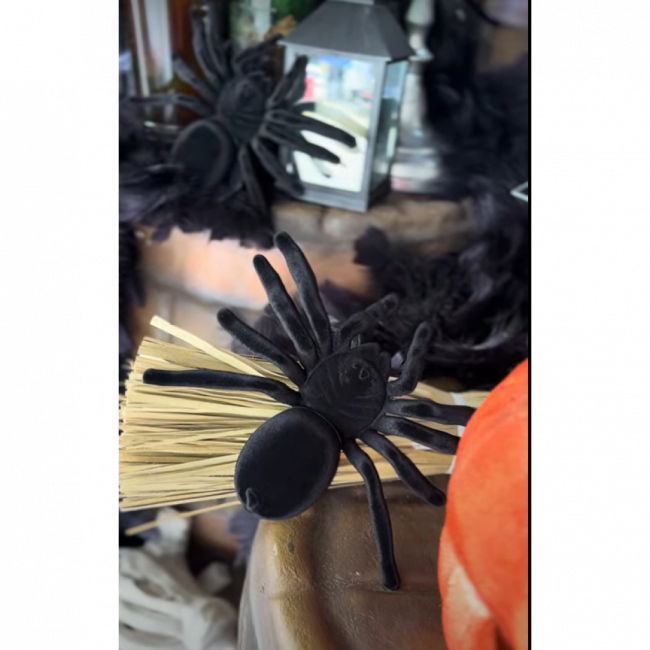 ARANHAS 3D pequena