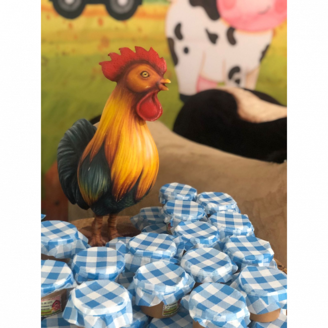 GALO 60 CM