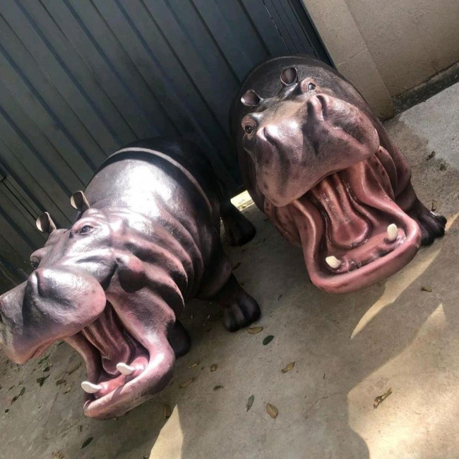 HIPOPOTAMO