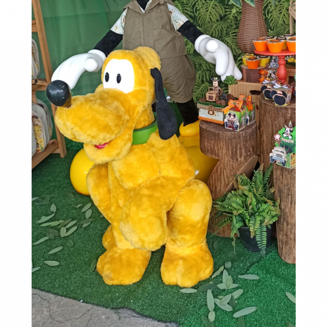 PLUTO